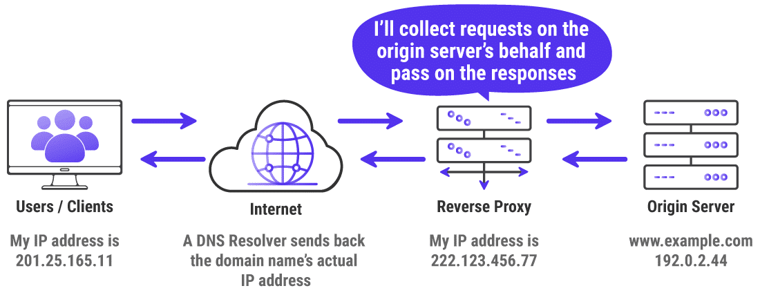 reverseProxy